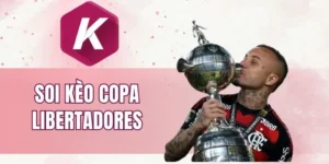 Chia sẻ một số tips soi kèo Copa Libertadores